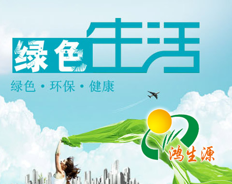 廣西鴻生源環保科技有限公司